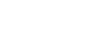 Logo Woodoo Software